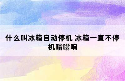 什么叫冰箱自动停机 冰箱一直不停机嗡嗡响